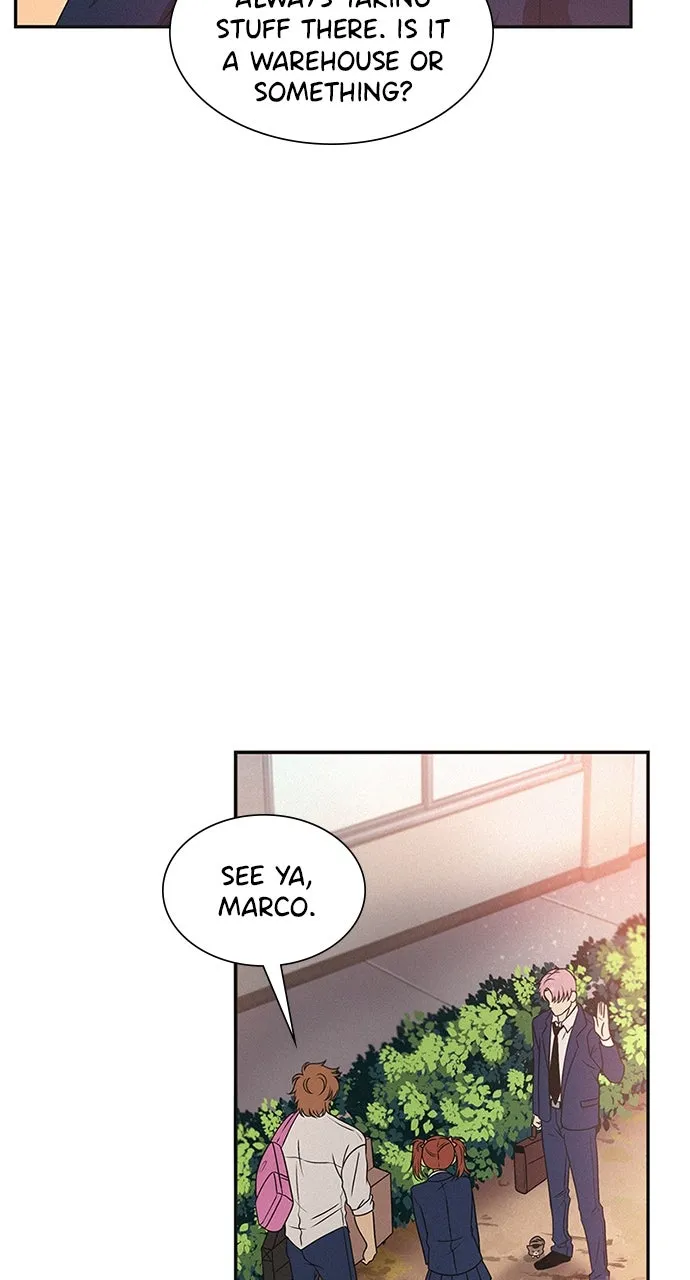 K.O! Chapter 42 page 71 - 
