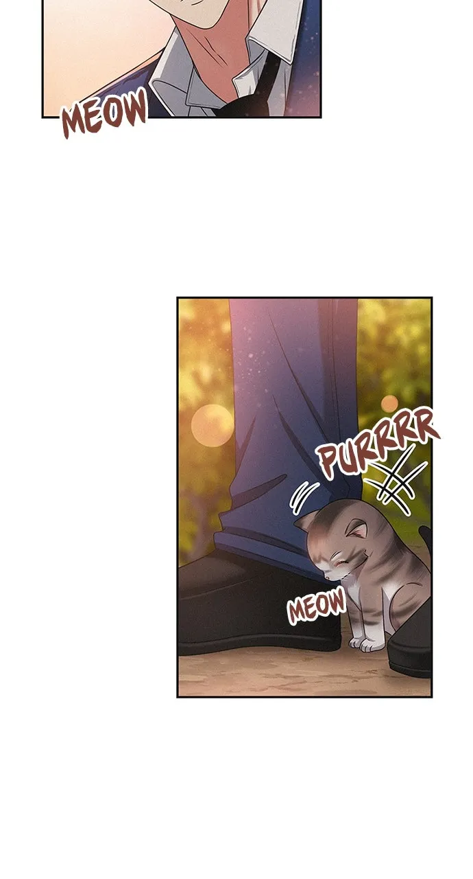 K.O! Chapter 42 page 75 - 