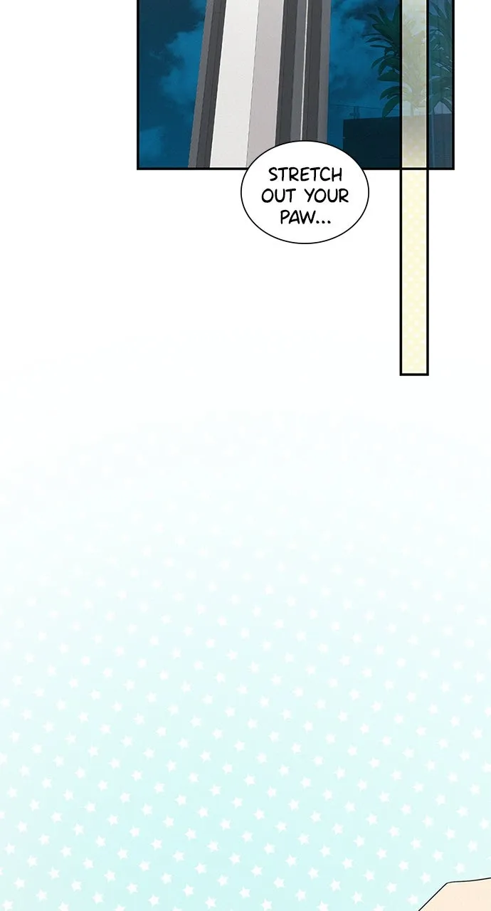 K.O! Chapter 69 page 63 - 