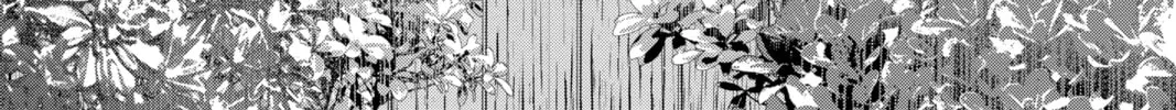Kakuriyo: Bed & Breakfast for Spirits Chapter 45 page 2 - 