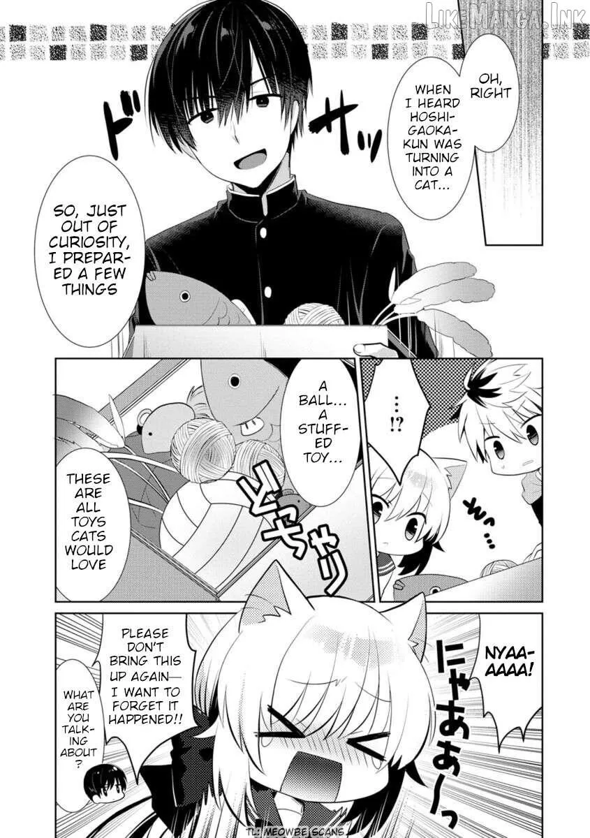 Kanojo Ni Nekomimi Wa Tsukimono Desu! Chapter 2 page 5 - 