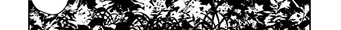 Kawasemi-san no Tsurigohan Chapter 6 page 52 - 