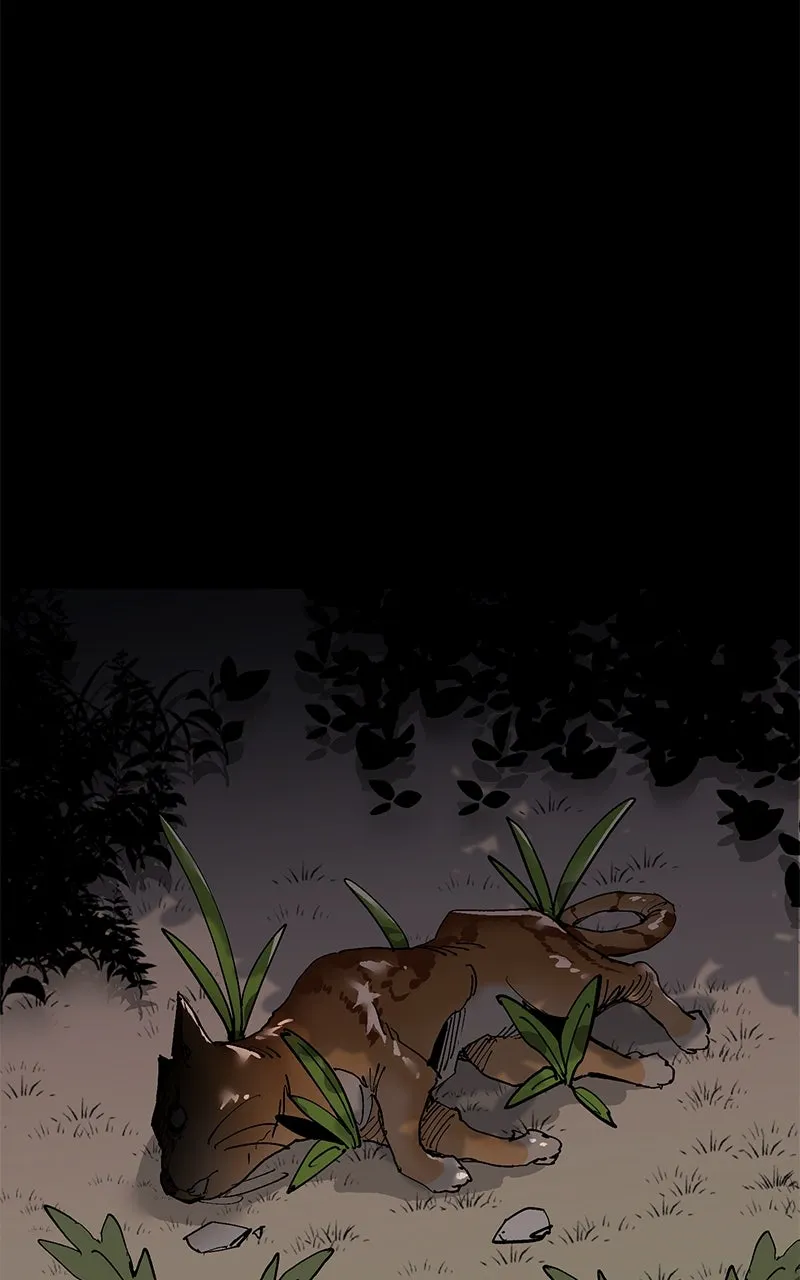 Kill to Live Chapter 43 page 4 - 