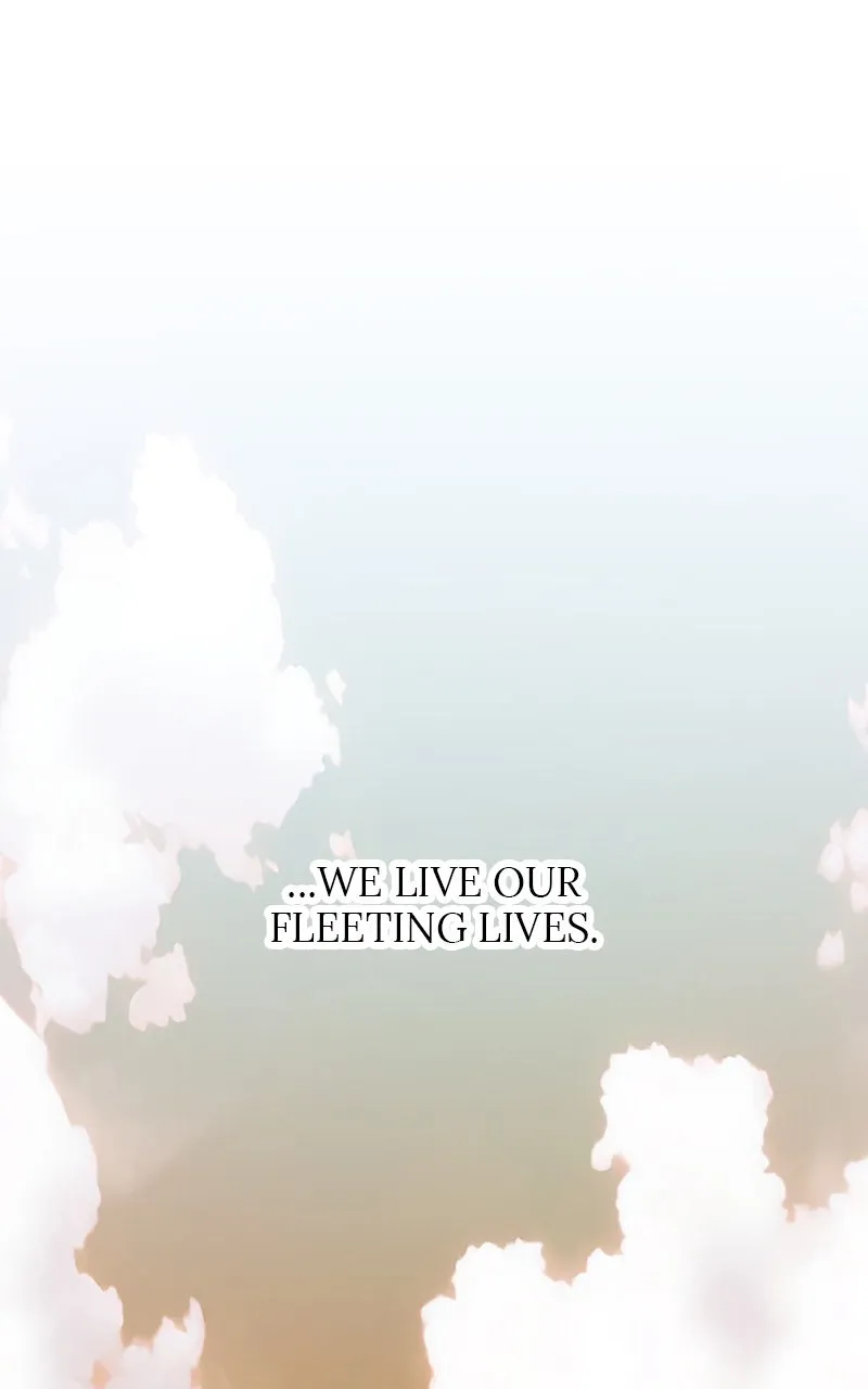 Kill to Live Chapter 45 page 147 - 