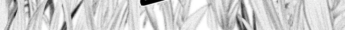 Killer Ape Chapter 2 page 4 - 