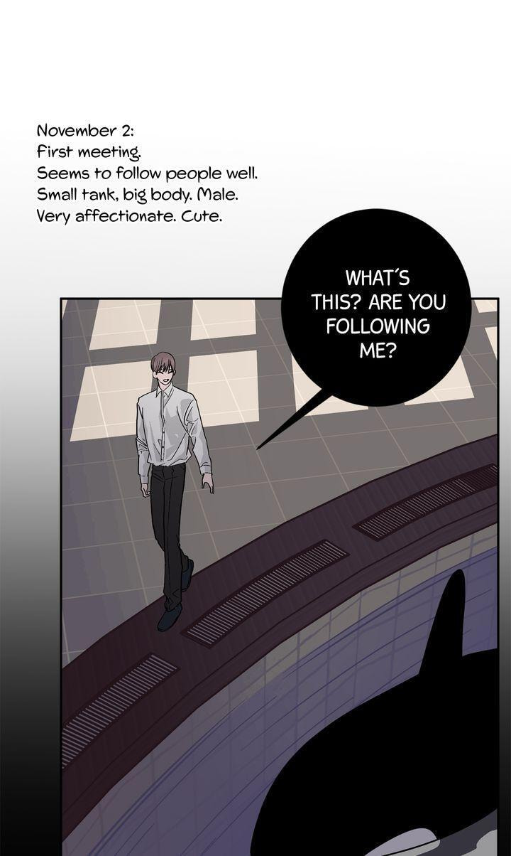 Killer Whale Protocol Chapter 55 page 38 - 