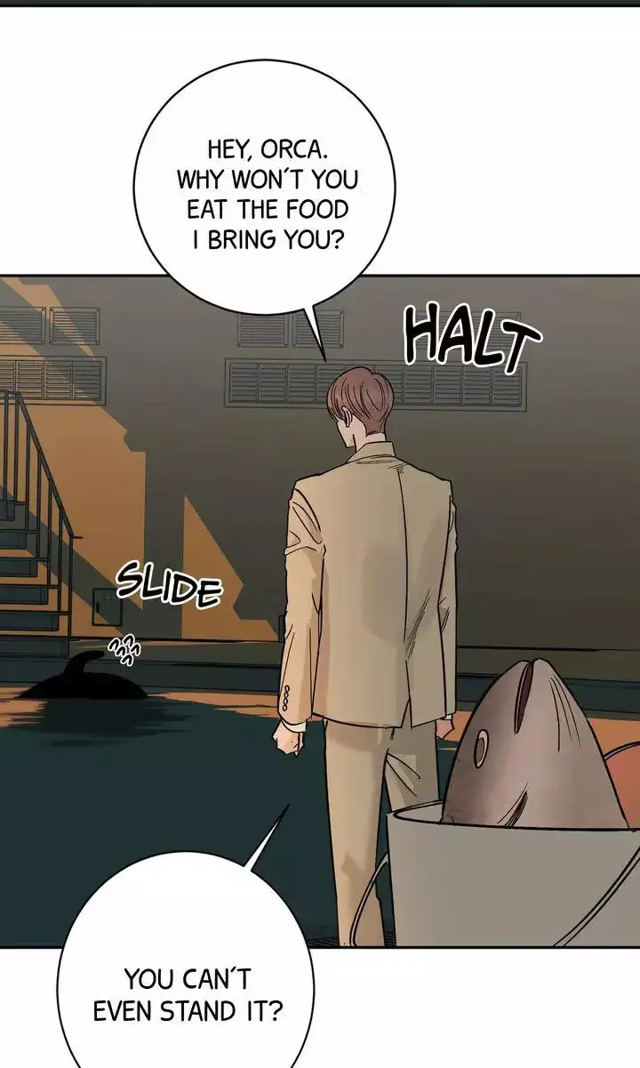 Killer Whale Protocol Chapter 56 page 43 - 