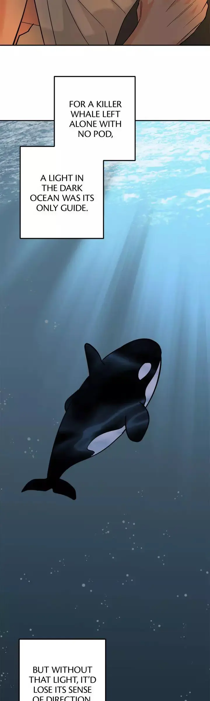 Killer Whale Protocol Chapter 57 page 48 - 