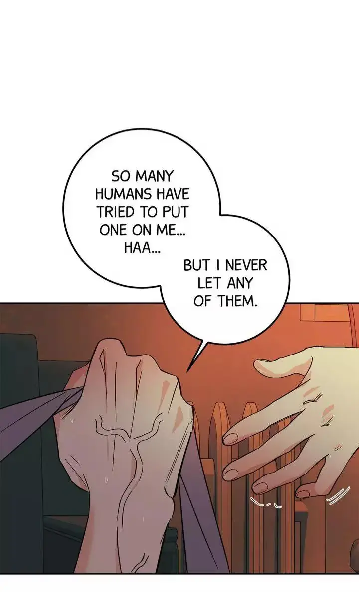Killer Whale Protocol Chapter 58 page 45 - 