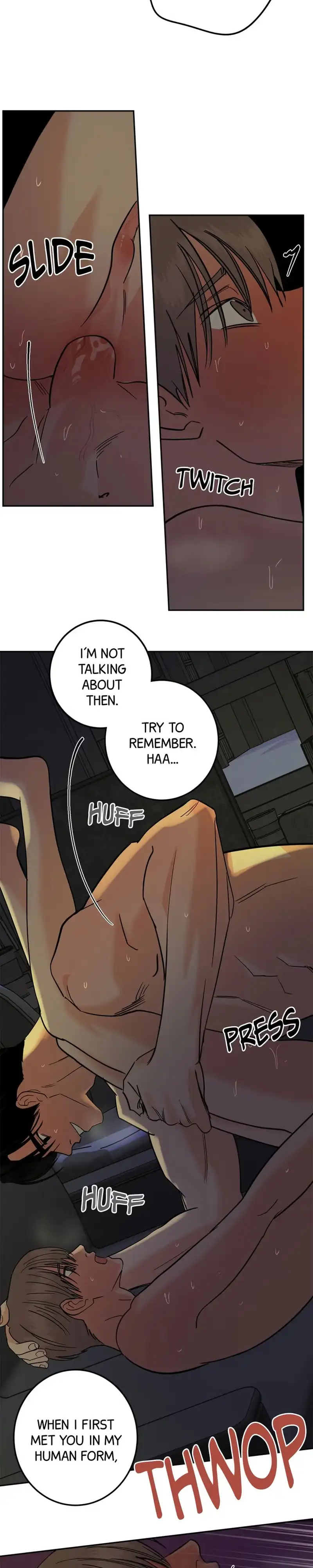 Killer Whale Protocol Chapter 60 page 19 - 