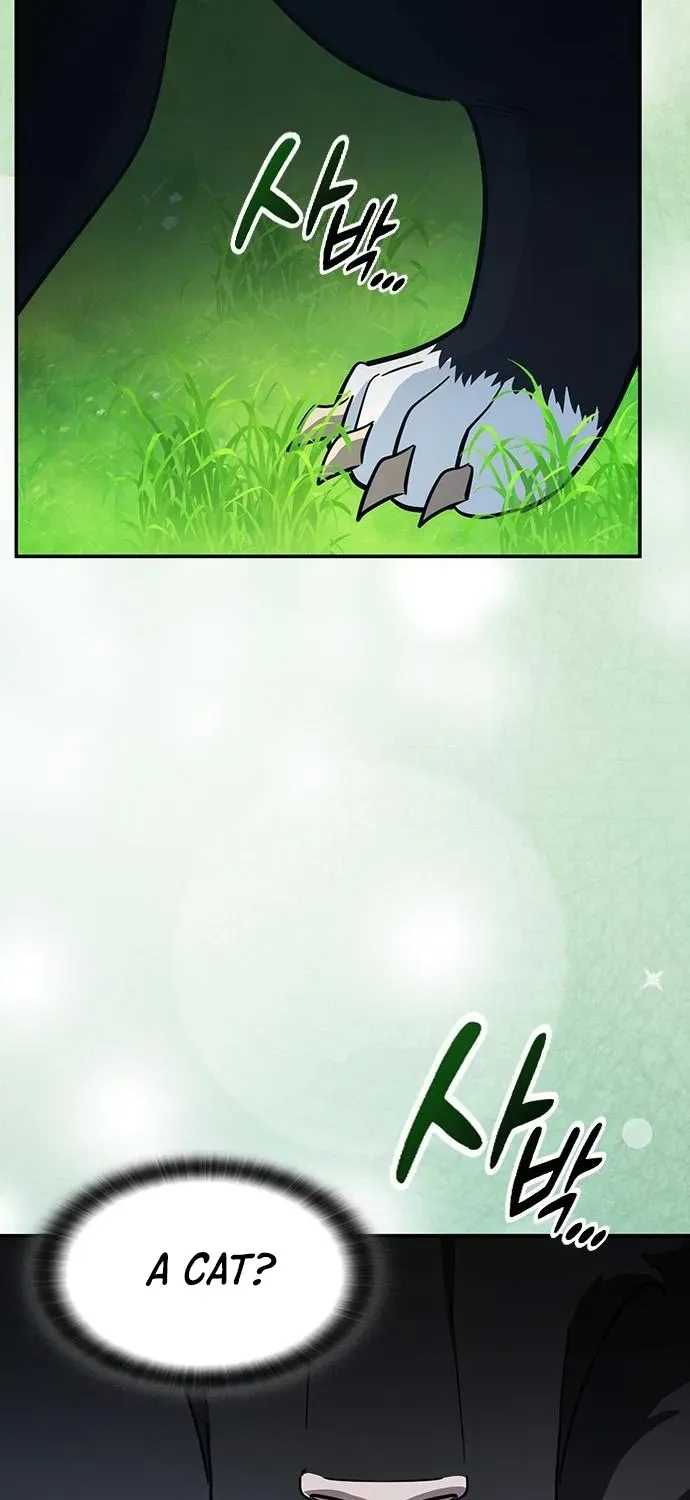 Kim Oh-jin and the Strange Animals Chapter 28 page 44 - 