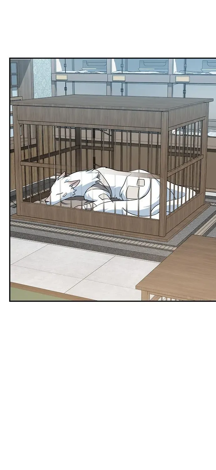 Kim Oh-jin and the Strange Animals Chapter 32 page 68 - 