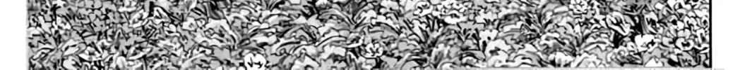 KING GOLF Chapter 197 page 4 - 