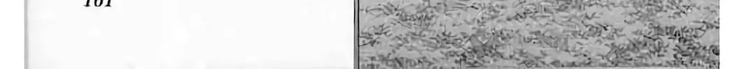 KING GOLF Chapter 202 page 8 - 