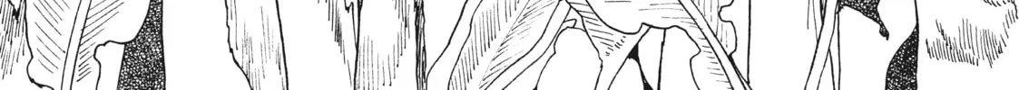 King in Limbo Chapter 31 page 4 - 