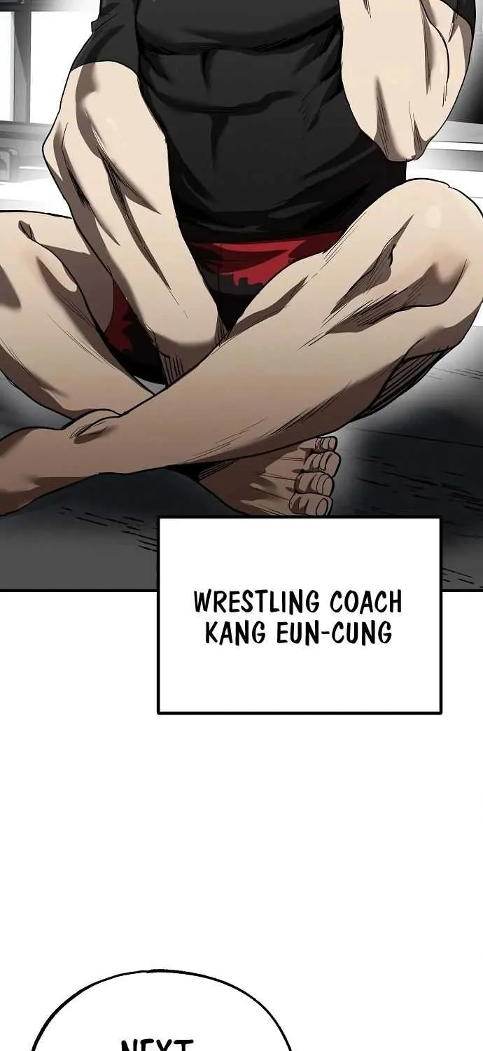 King Of Octagon Chapter 11 page 29 - 