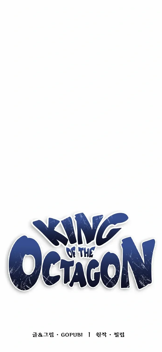 King Of Octagon Chapter 29 page 27 - 