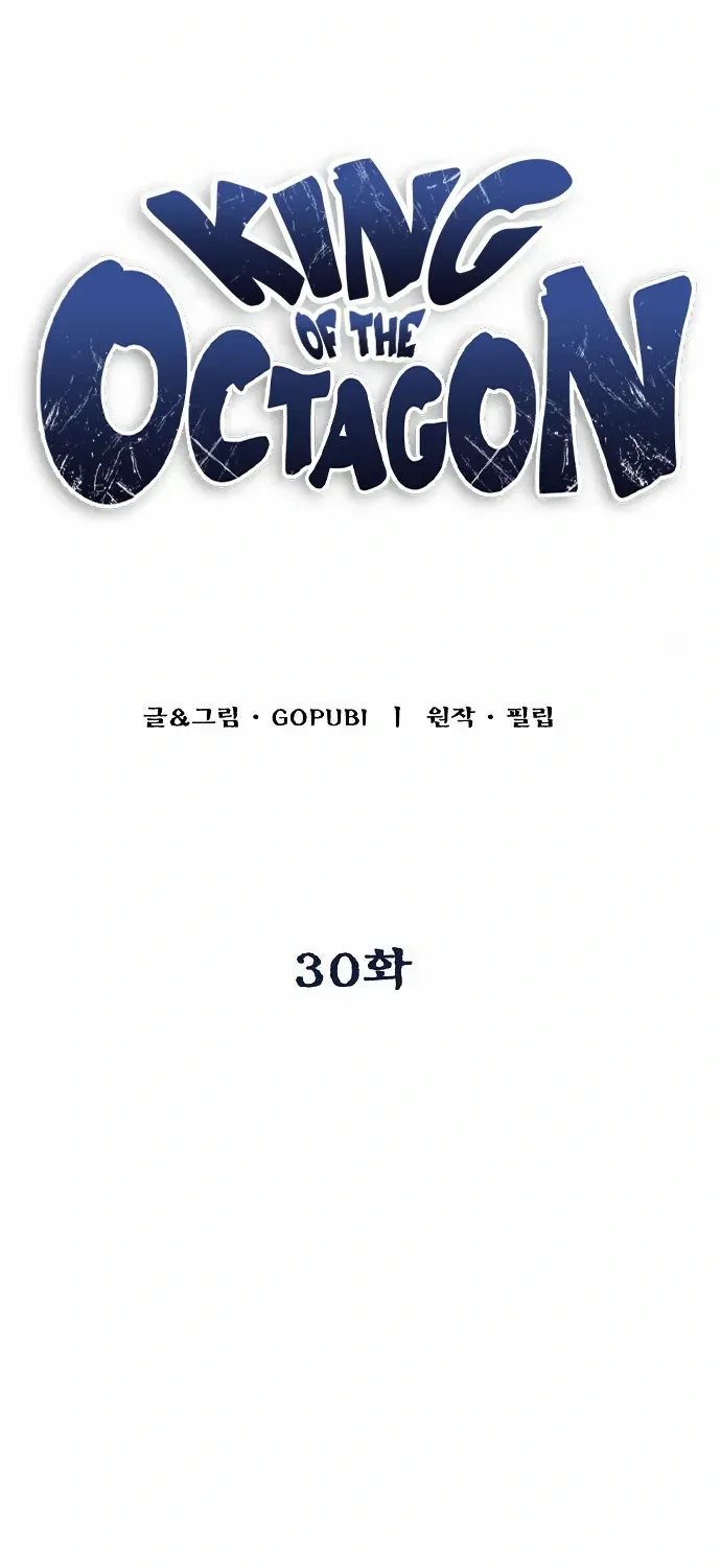 King Of Octagon Chapter 30 page 19 - 