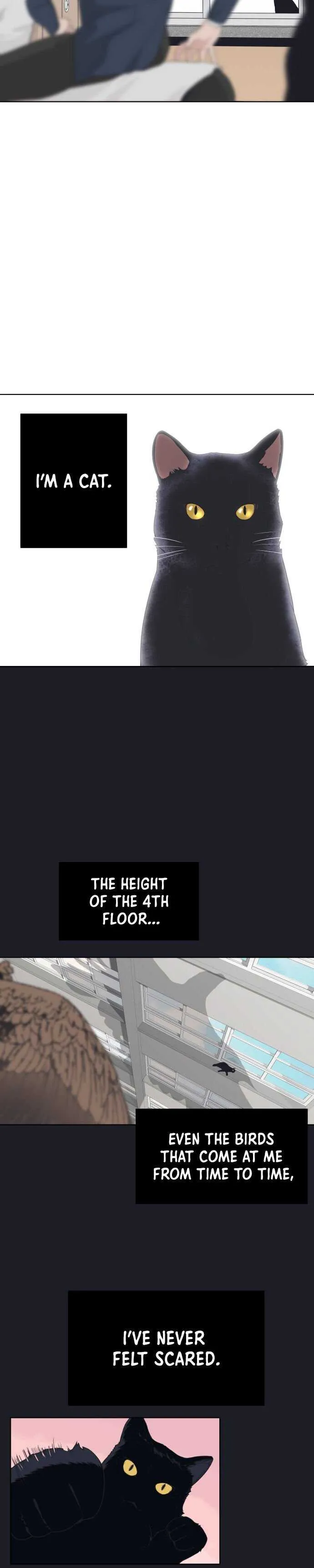 King of Piling Chapter 2 page 30 - 