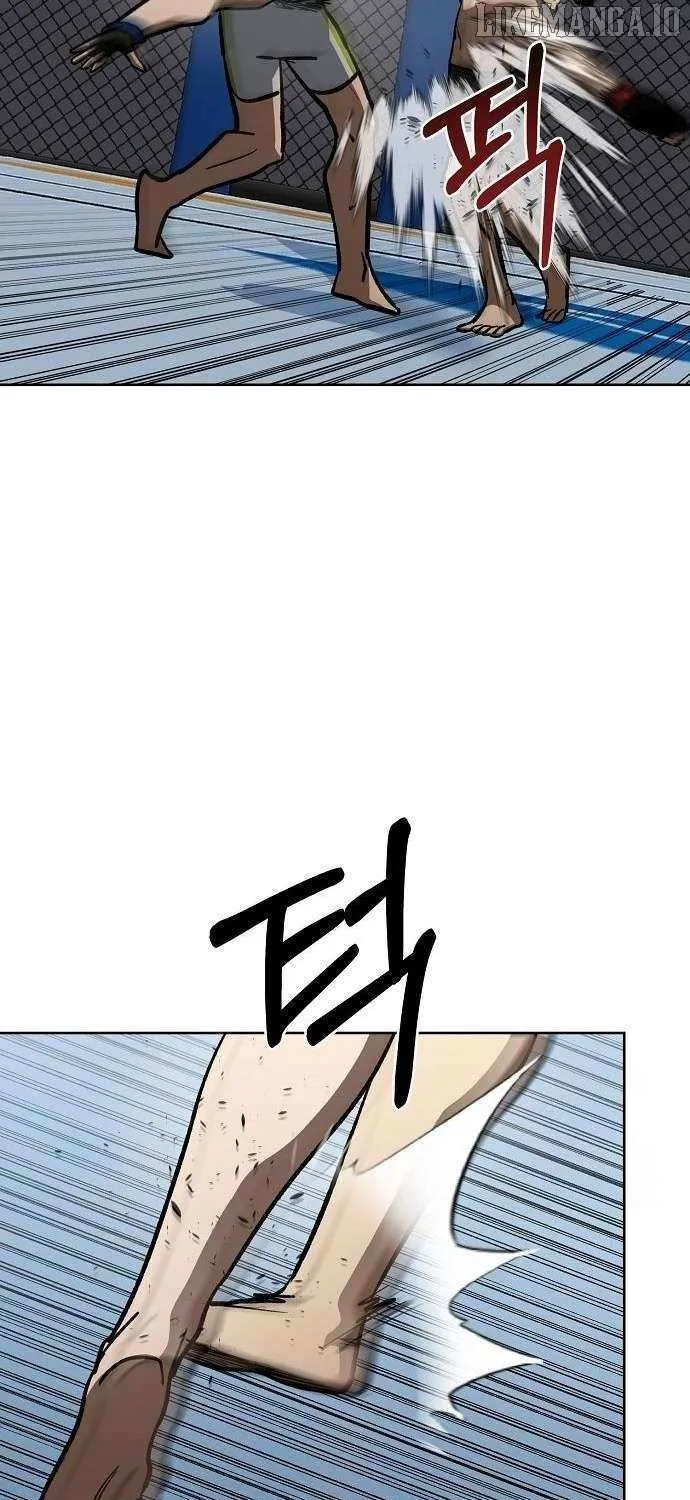 King of the Octagon Chapter 147 page 29 - 