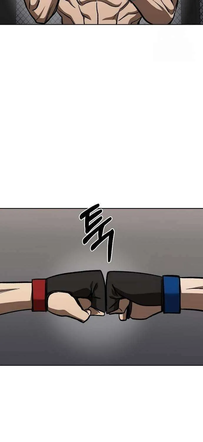 King of the Octagon Chapter 148 page 27 - 