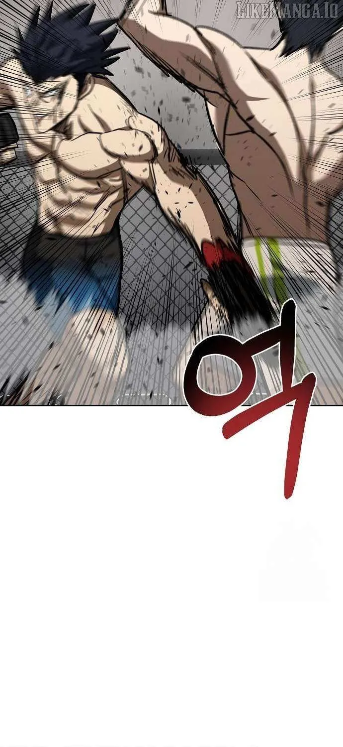 King of the Octagon Chapter 148 page 30 - 
