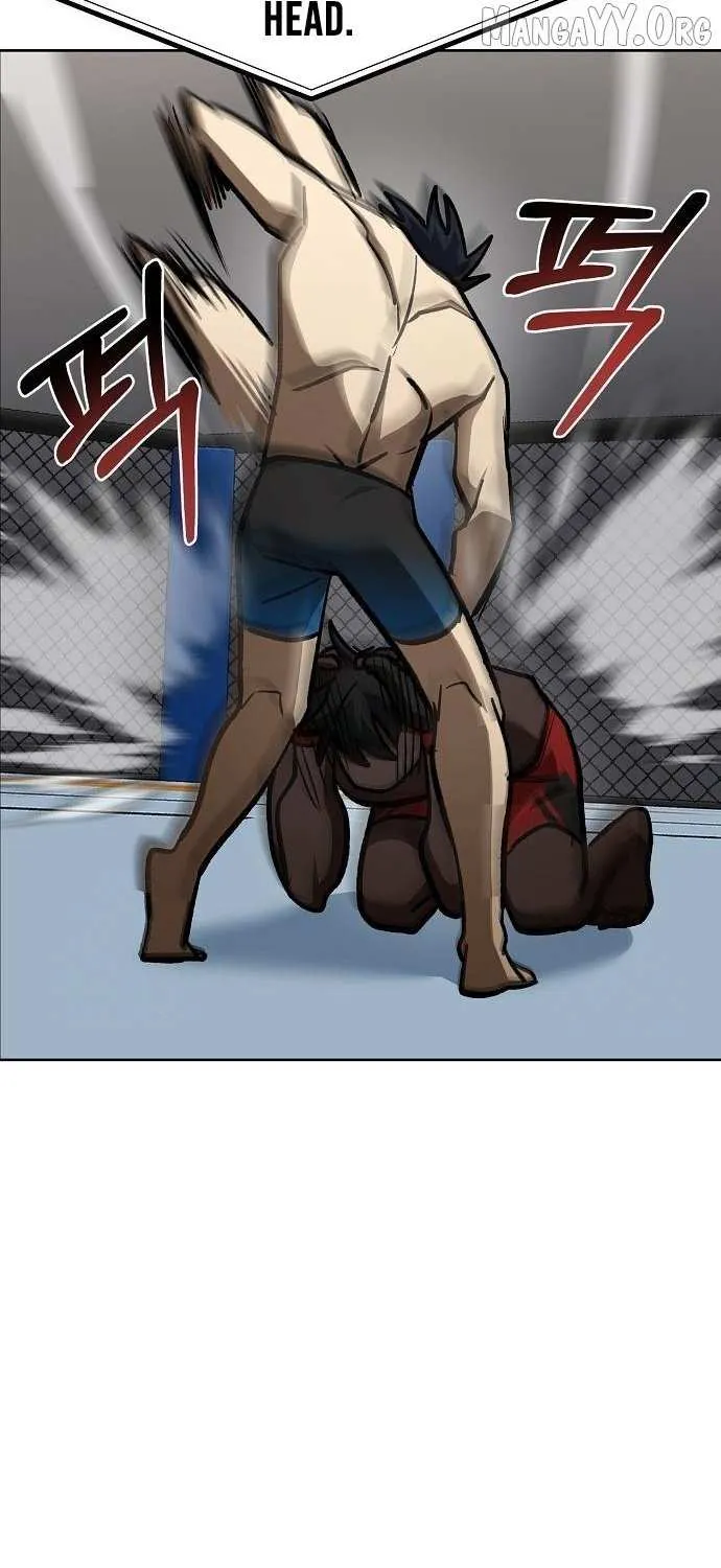 King of the Octagon Chapter 160 page 37 - 