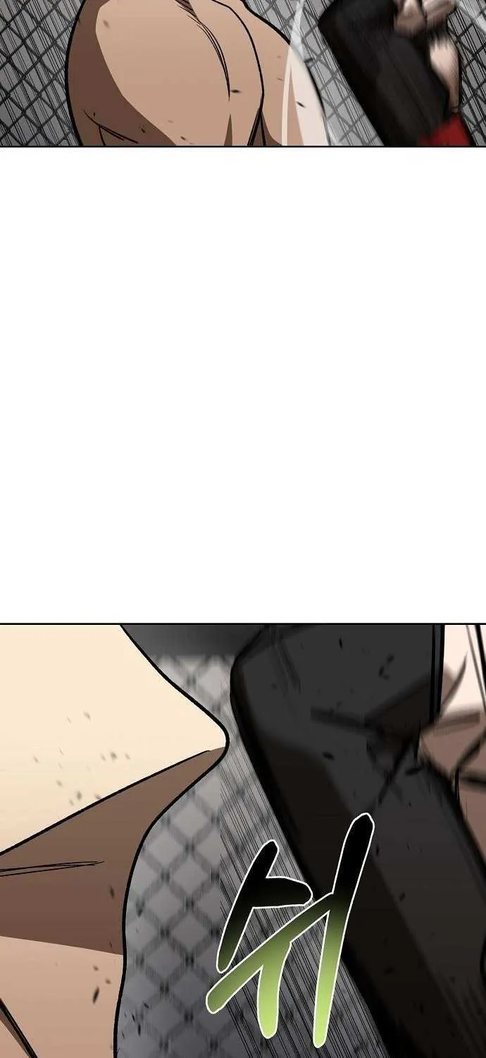 King of the Octagon Chapter 179 page 17 - 