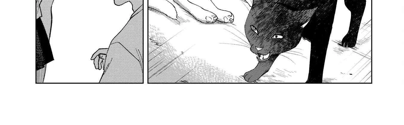 Kirio Fanclub Chapter 7 page 14 - 