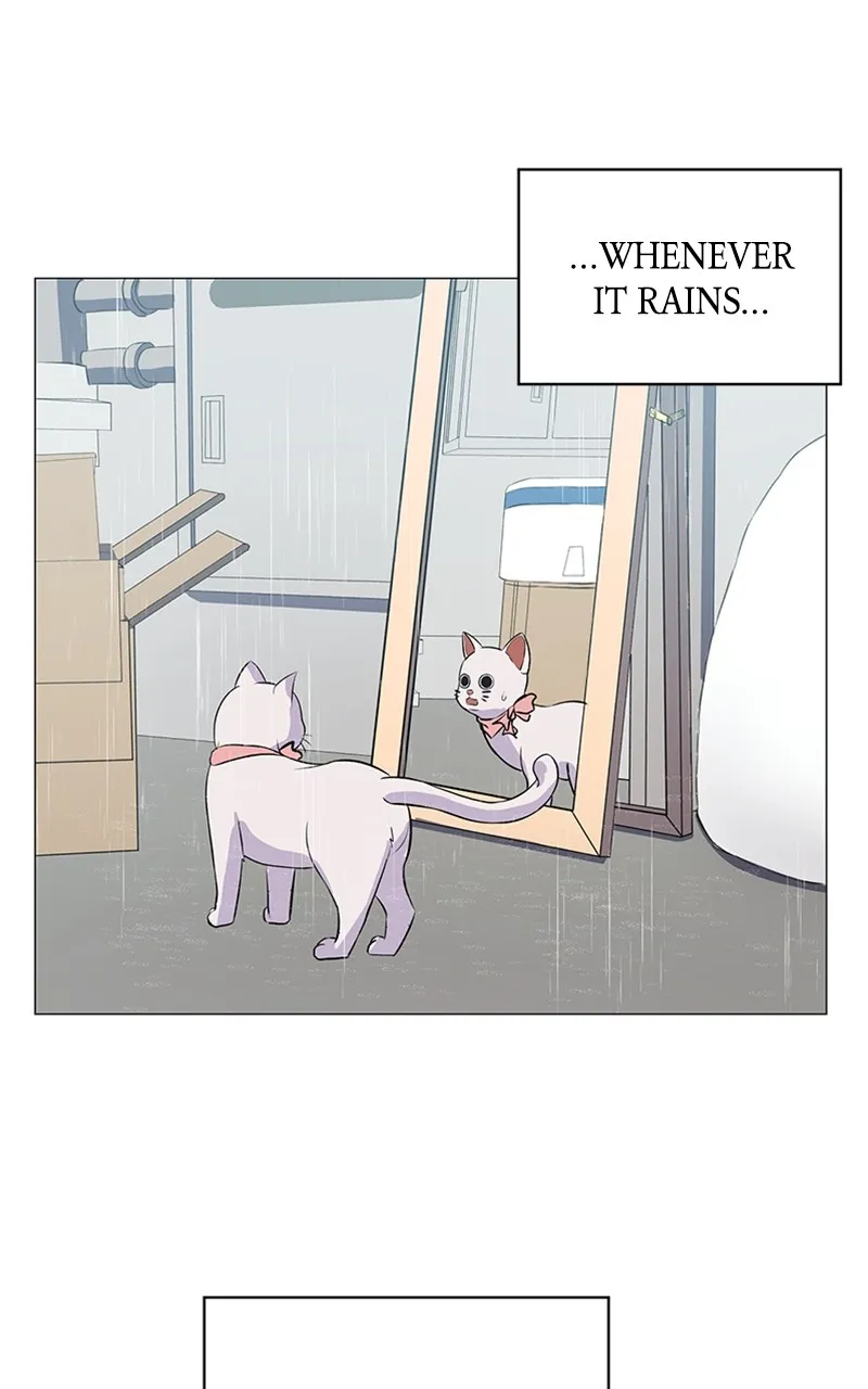 Kiss Meow Chapter 1 page 110 - 