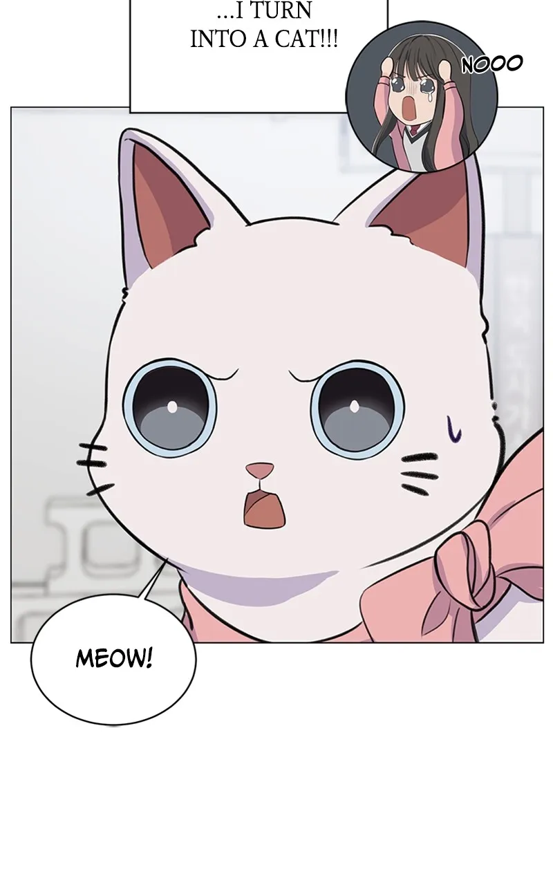 Kiss Meow Chapter 1 page 111 - 