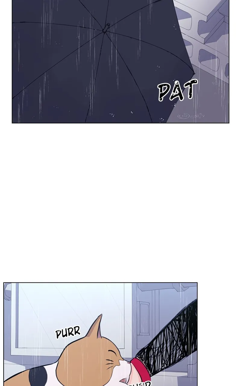 Kiss Meow Chapter 1 page 114 - 