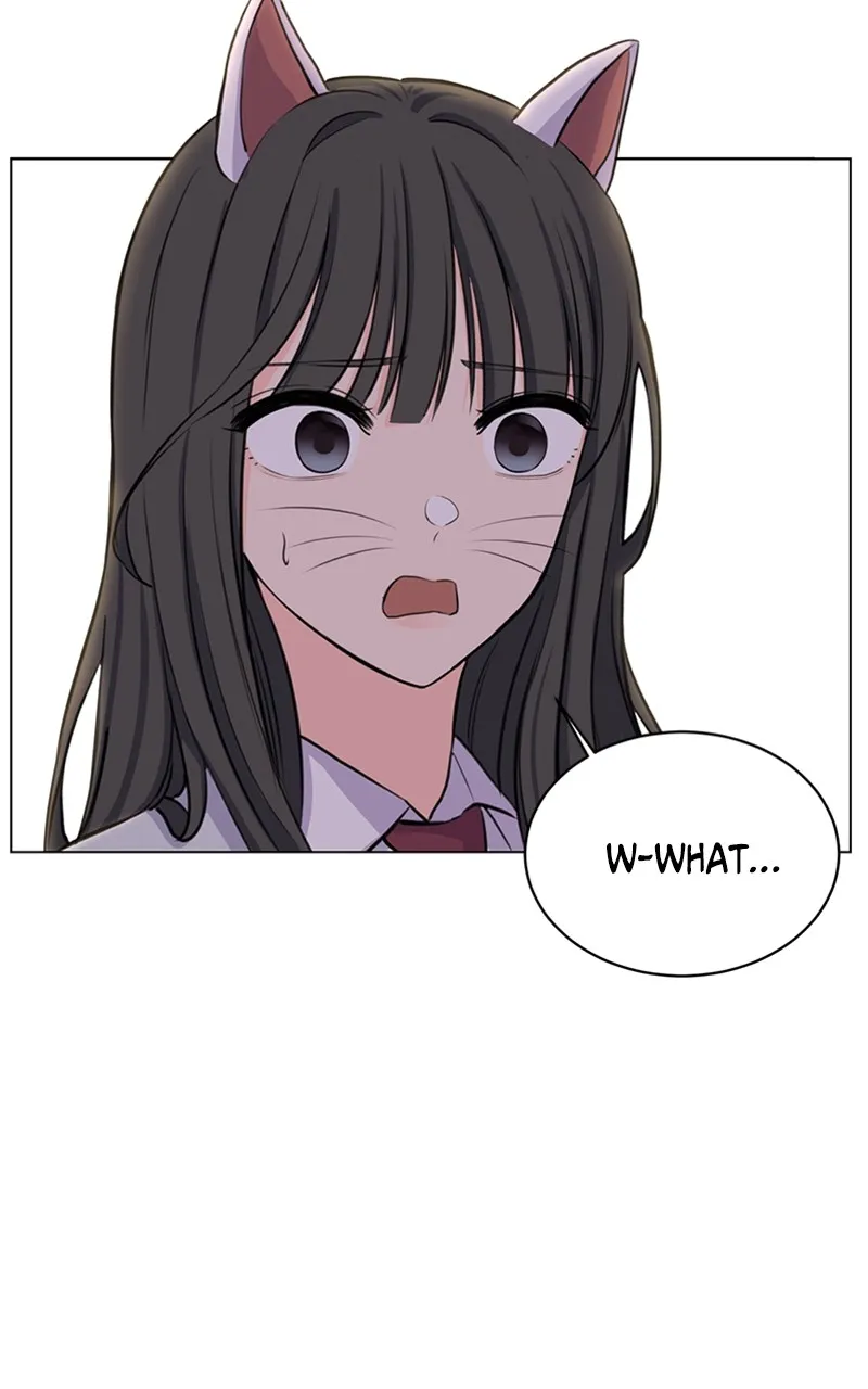 Kiss Meow Chapter 1 page 15 - 