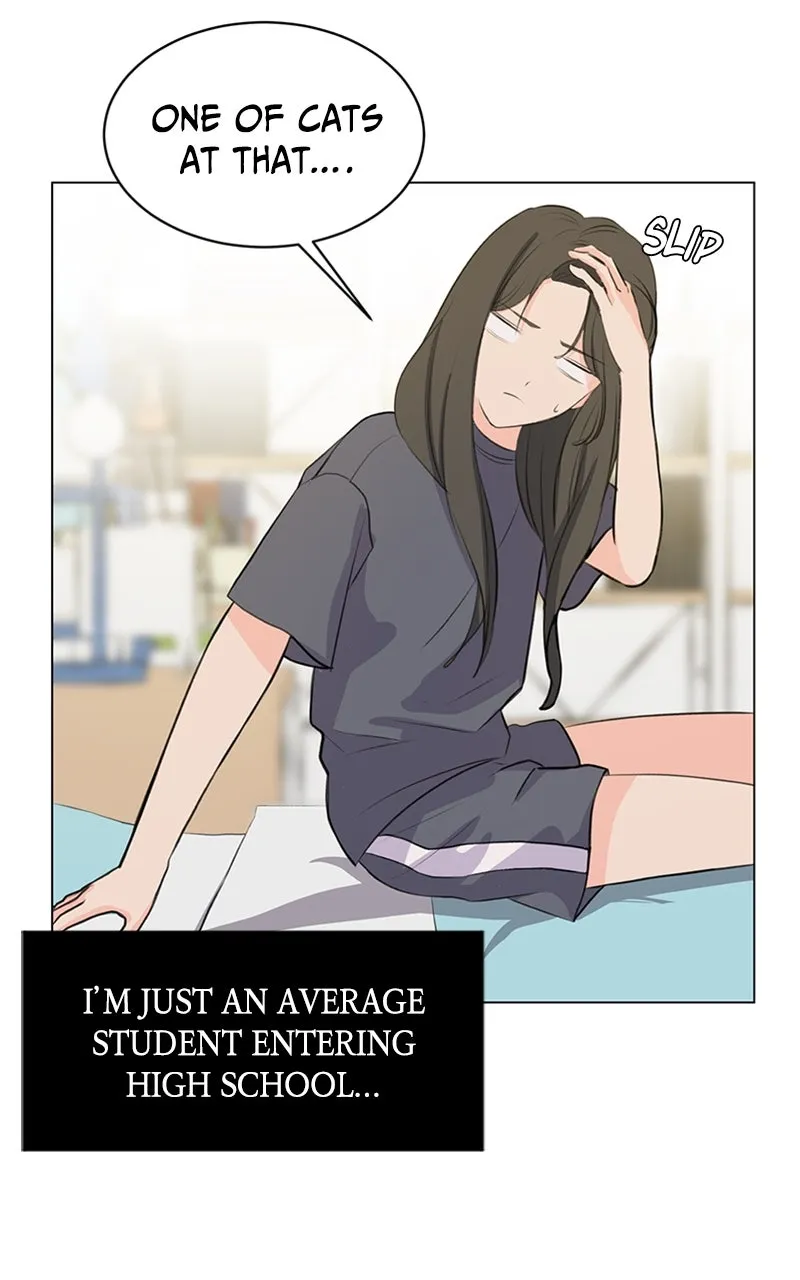 Kiss Meow Chapter 1 page 20 - 