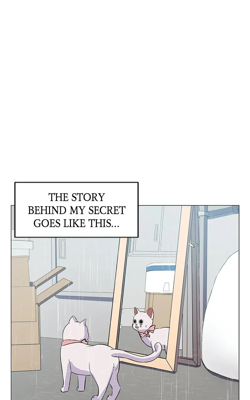 Kiss Meow Chapter 2 page 1 - 