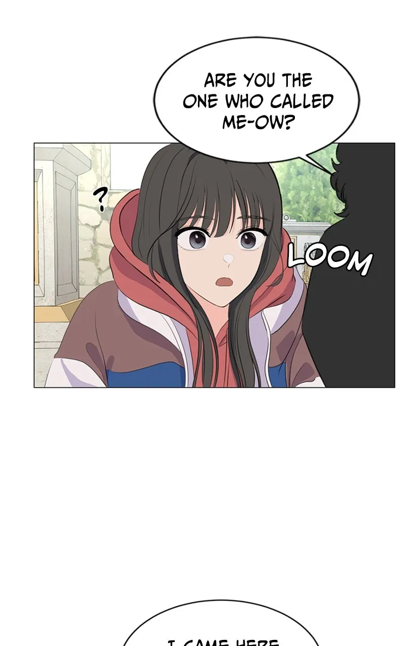 Kiss Meow Chapter 2 page 21 - 