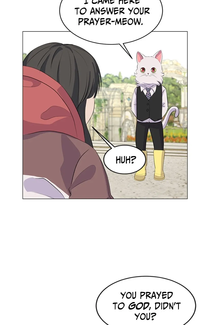 Kiss Meow Chapter 2 page 22 - 