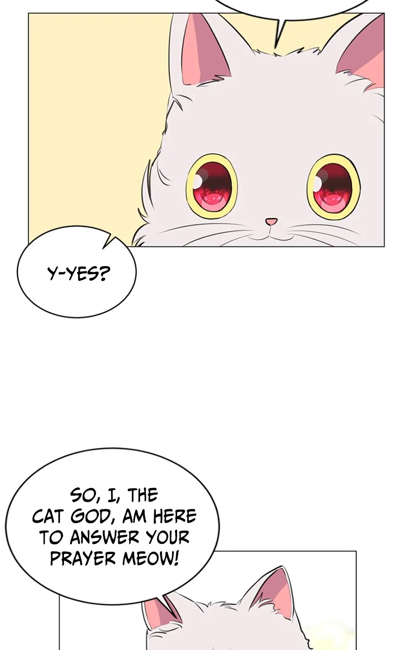 Kiss Meow Chapter 2 page 23 - 