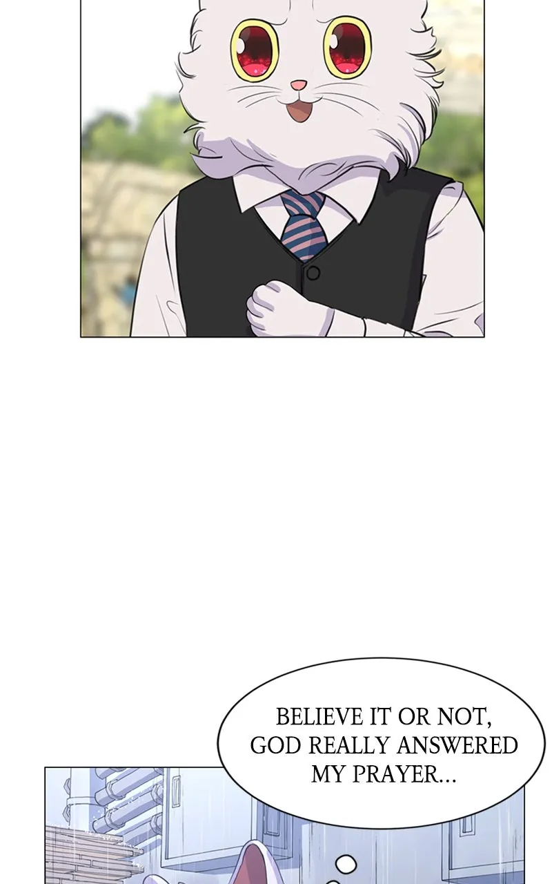 Kiss Meow Chapter 2 page 24 - 