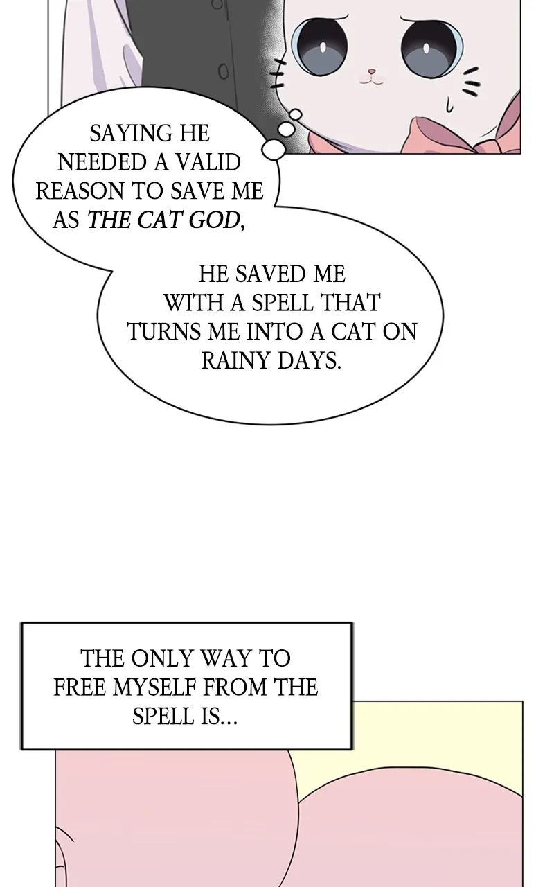 Kiss Meow Chapter 2 page 26 - 