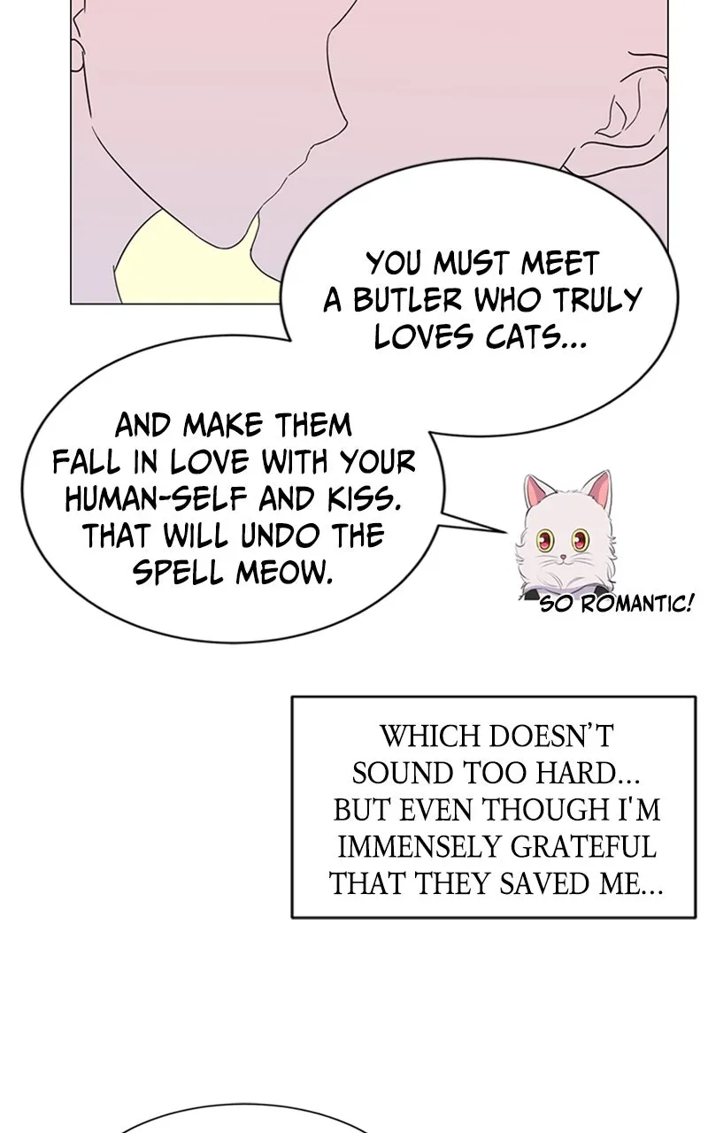 Kiss Meow Chapter 2 page 27 - 