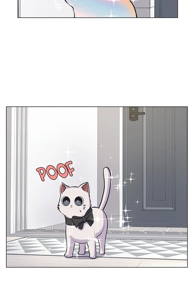 Kiss Meow Chapter 2 page 33 - 