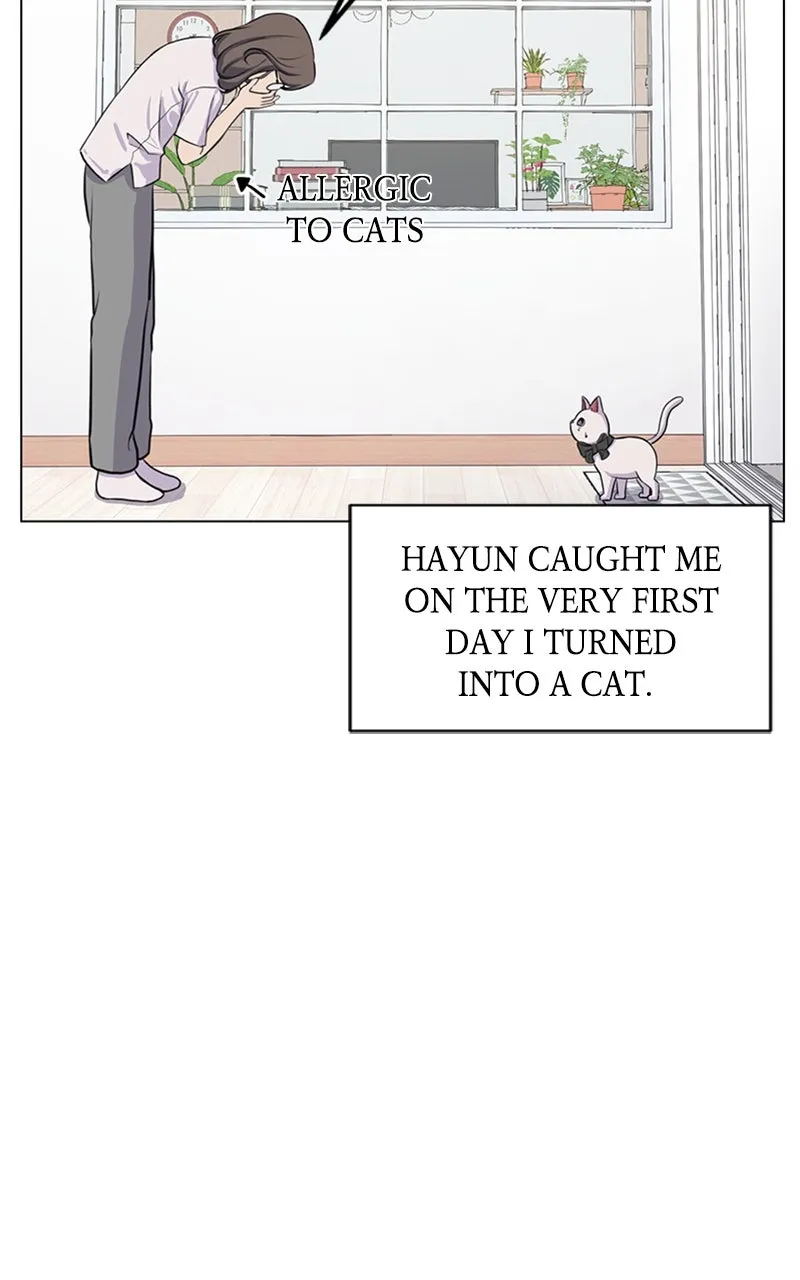 Kiss Meow Chapter 2 page 35 - 