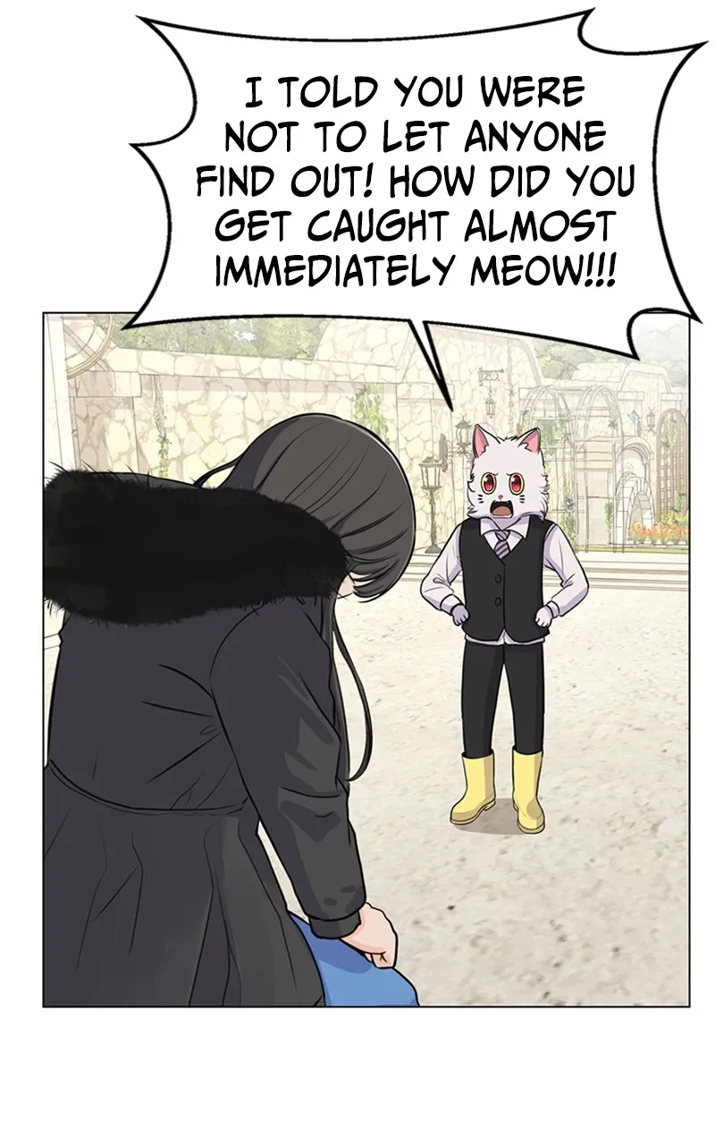 Kiss Meow Chapter 2 page 36 - 