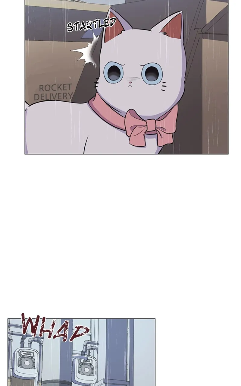 Kiss Meow Chapter 2 page 41 - 