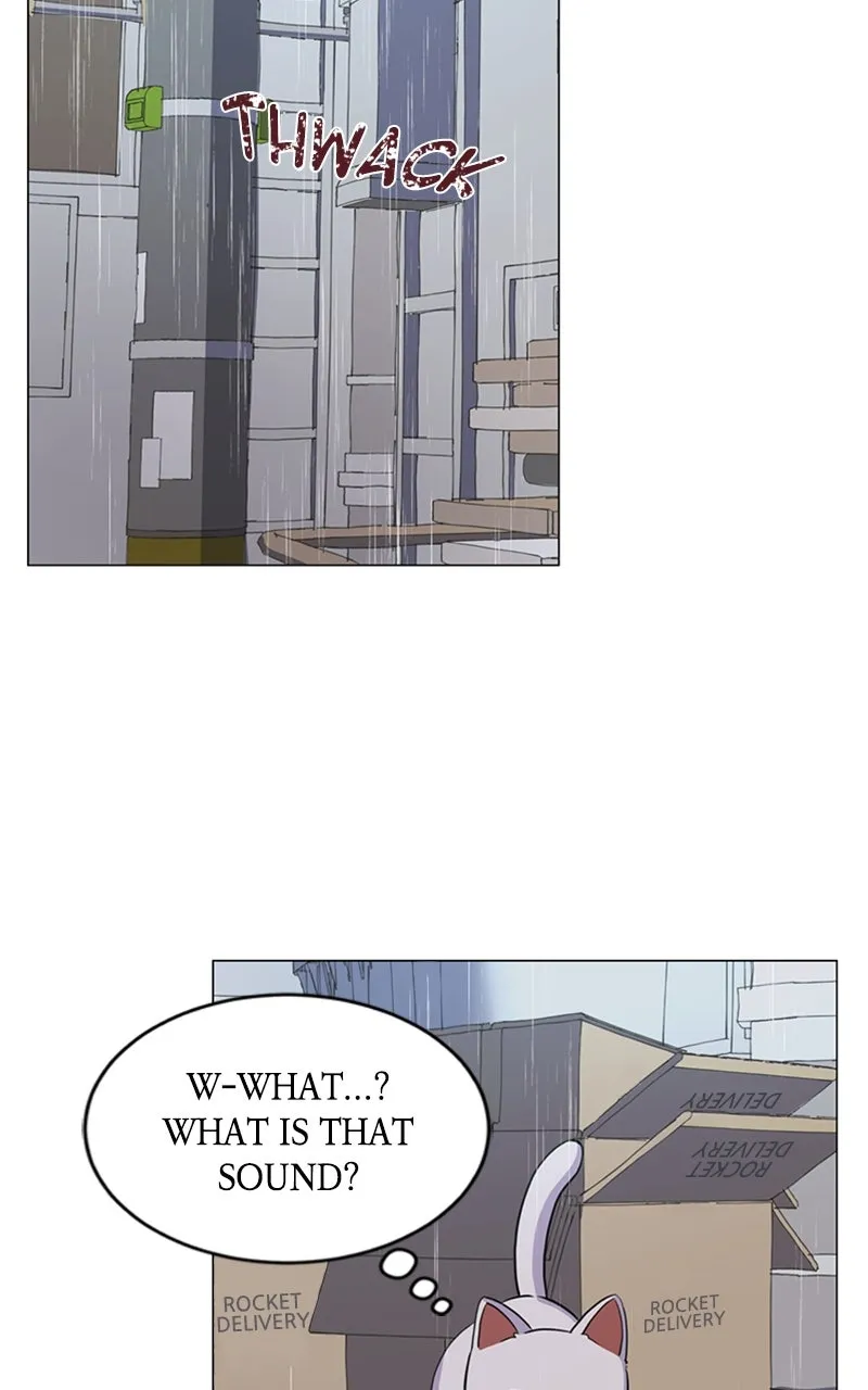 Kiss Meow Chapter 2 page 42 - 