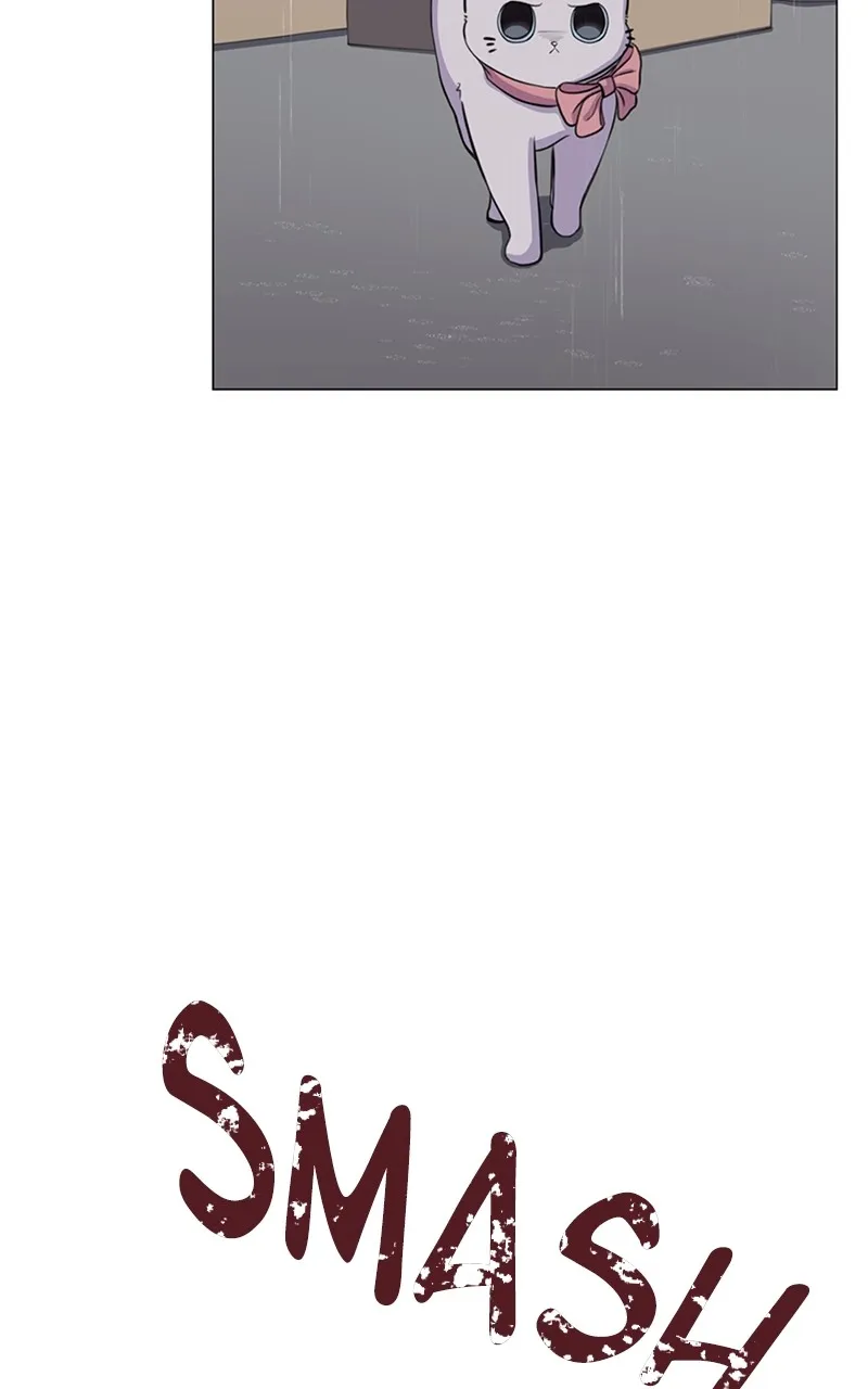 Kiss Meow Chapter 2 page 43 - 