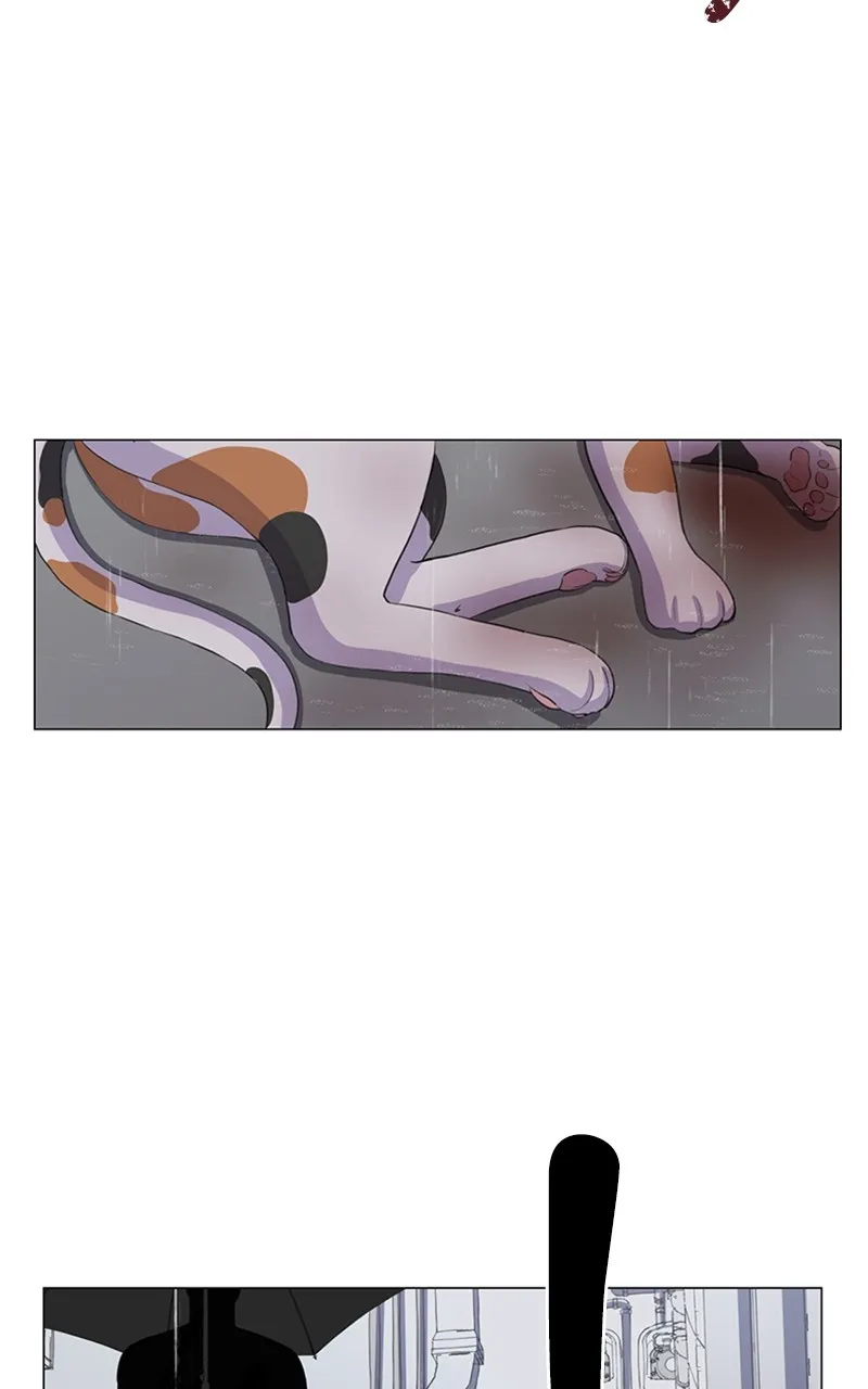 Kiss Meow Chapter 2 page 44 - 