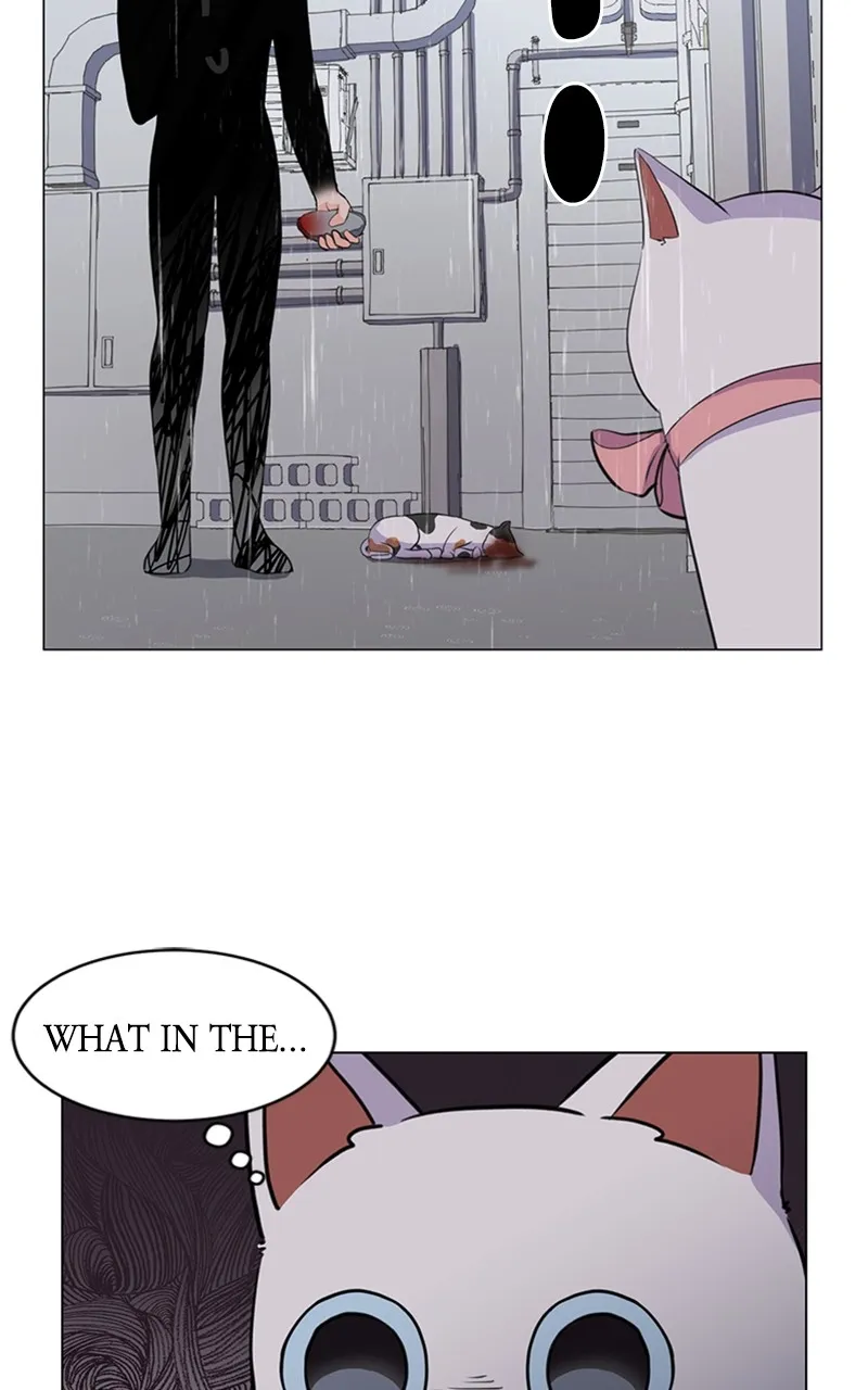 Kiss Meow Chapter 2 page 45 - 