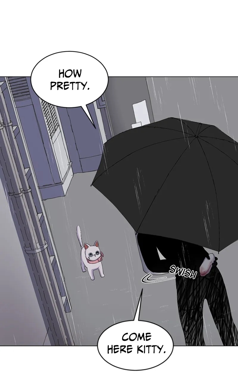 Kiss Meow Chapter 2 page 47 - 